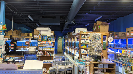Tropical Fish Store «The Fish Store», reviews and photos, 12320 Lake City Way NE, Seattle, WA 98125, USA