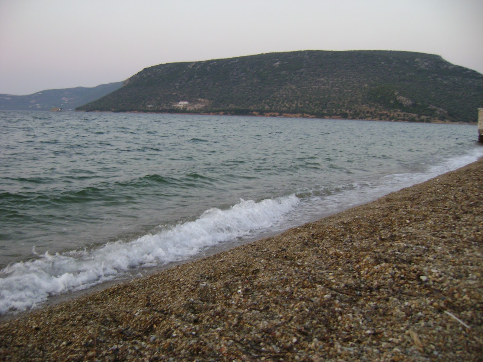Mitilinis-Skopelou VIII'in fotoğrafı doğrudan plaj ile birlikte