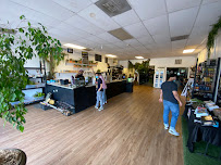 The Serpentarium - Photo 3 - Car repair in Richardson, TX, Dallas