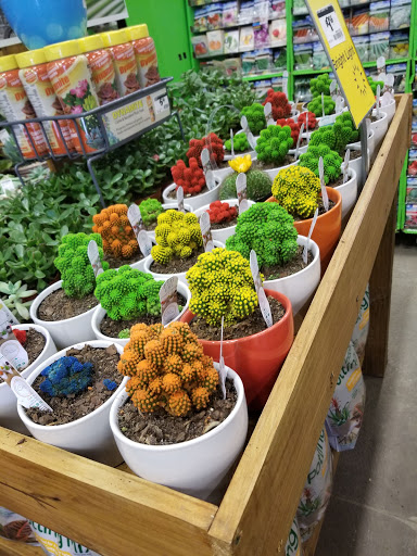 Home Improvement Store «The Home Depot», reviews and photos, 535 Grand Army of the Republic Hwy, Somerset, MA 02725, USA