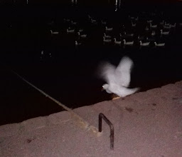 Raspados y Obispos \