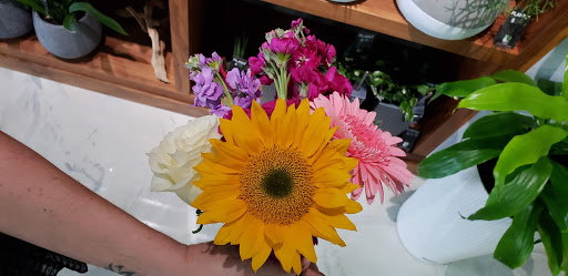 Florist «Red Square Flowers», reviews and photos, 337 W Mifflin St, Madison, WI 53703, USA