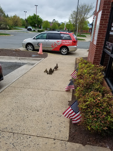 Tire Shop «Ashburn Service & Tire Center», reviews and photos, 44071 Ashburn Shopping Plaza, Ashburn, VA 20147, USA