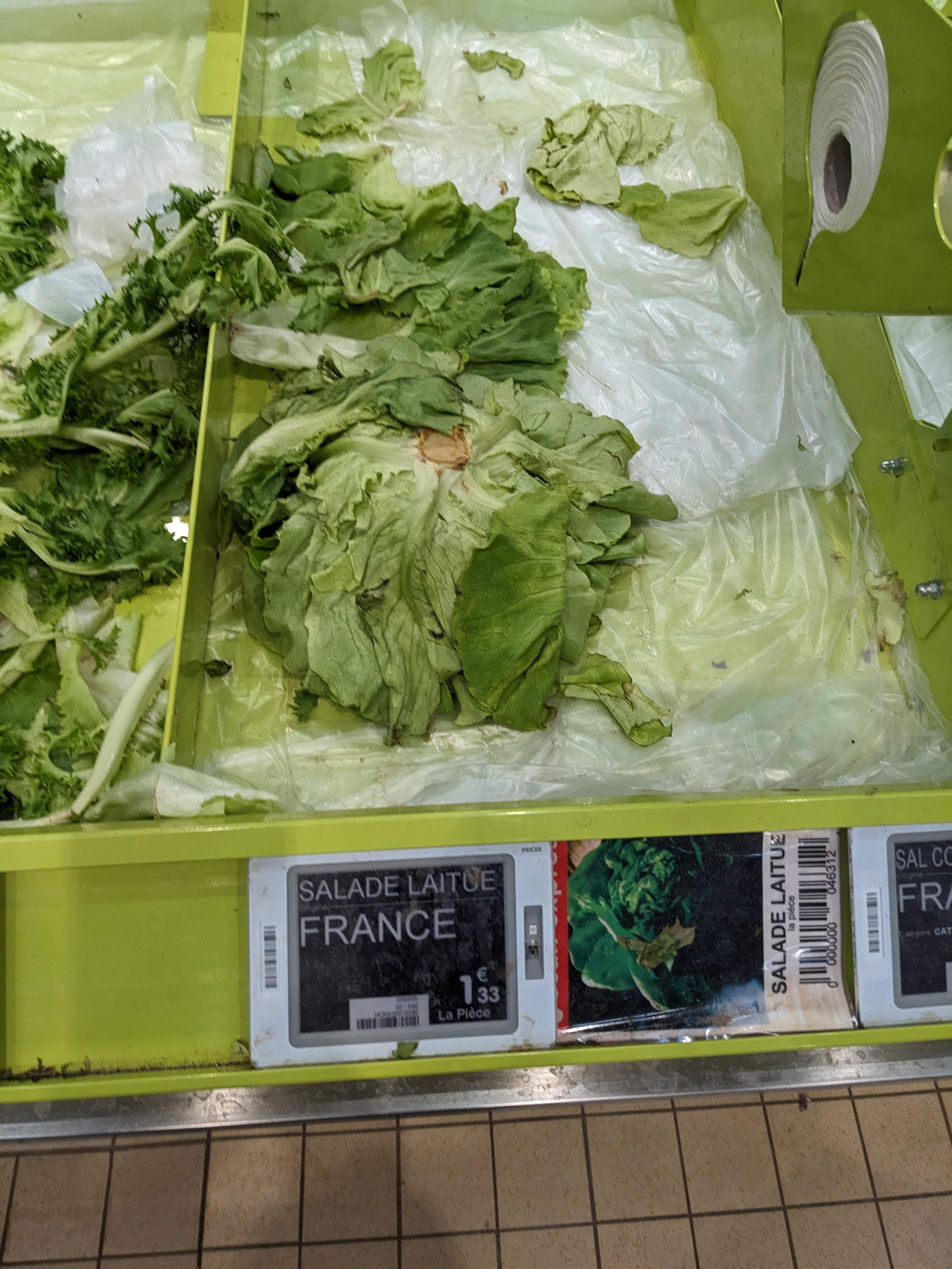 Photo n° 4 de l'avis de Pat.t fait le 16/04/2023 à 17:01