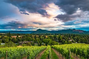 Cooper Ridge Vineyard image