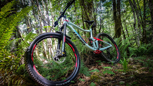 Bicycle Store «Champion Cycling Inc», reviews and photos, 11447 San Jose Blvd, Jacksonville, FL 32223, USA