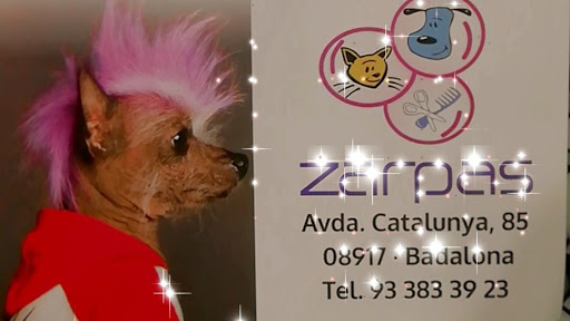 Zarpas (Peluquería Canina Y Felina)