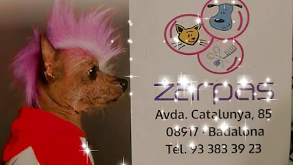 Zarpas (peluquería canina y felina) - Servicios para mascota en Badalona