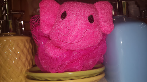 Dollar Store «Dollar Tree», reviews and photos, 21800 Towncenter Plaza #237, Sterling, VA 20164, USA