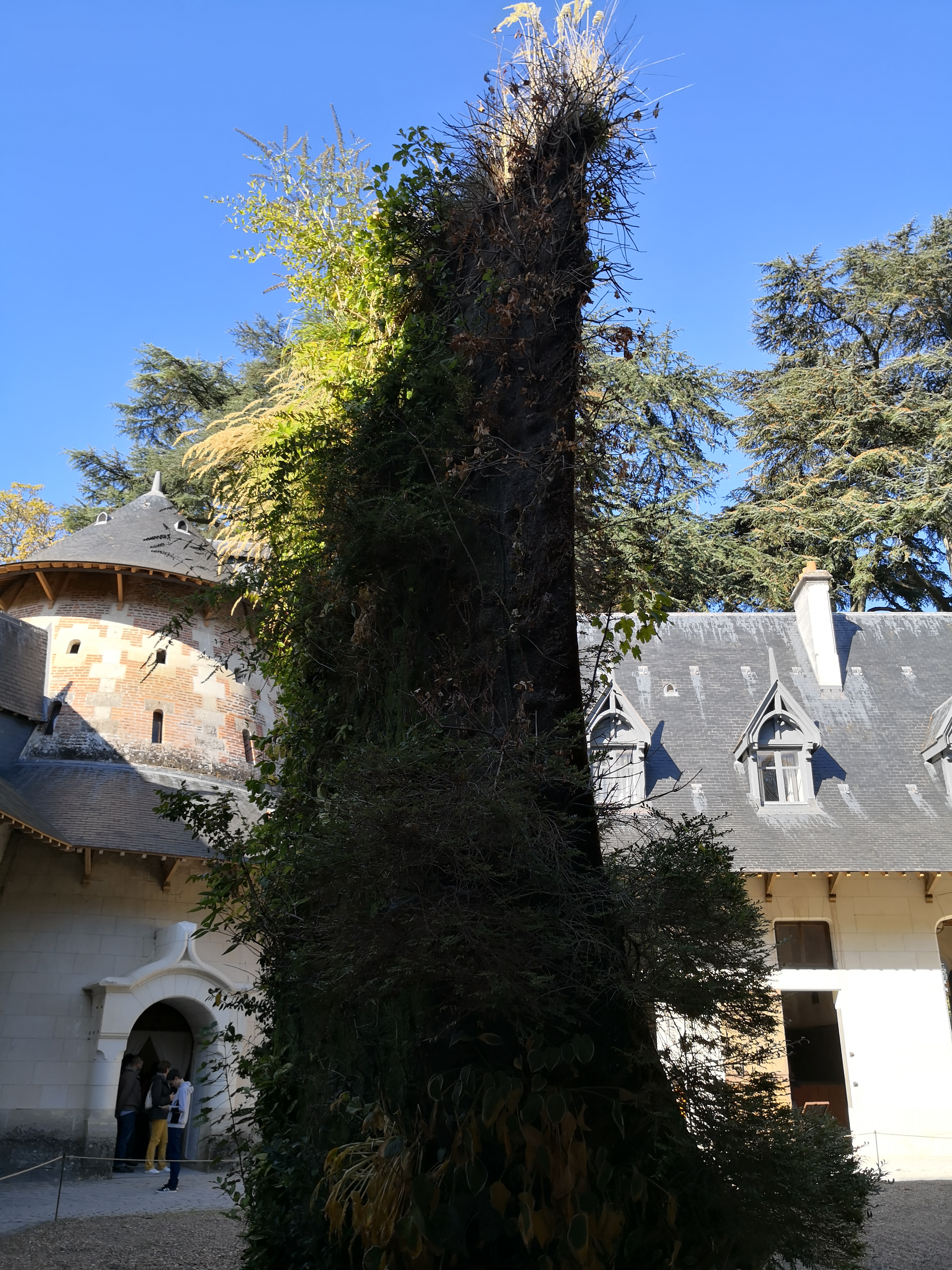 Photo n° 39 de l'avis de CHRISTOPHE.A fait le 24/10/2018 à 20:20