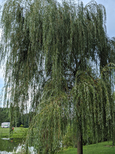 Country Club «Ramblewood Country Club», reviews and photos, 200 Country Club Pkwy, Mt Laurel, NJ 08054, USA