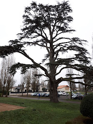 Photo n°21 de Garrigae Manoir de Beauvoir à Mignaloux-Beauvoir ()