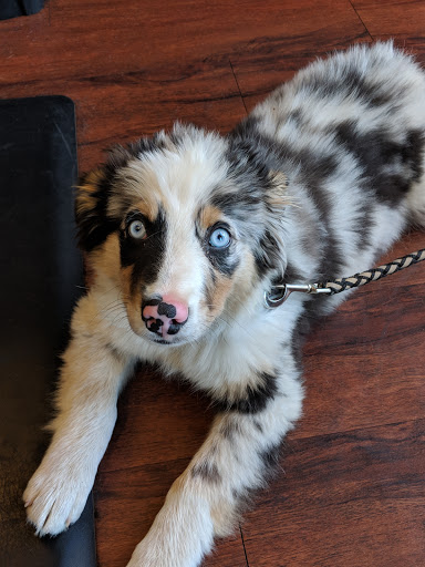 Barber Shop «Heritage Barbershop», reviews and photos, 2137 E Burnside St, Portland, OR 97214, USA