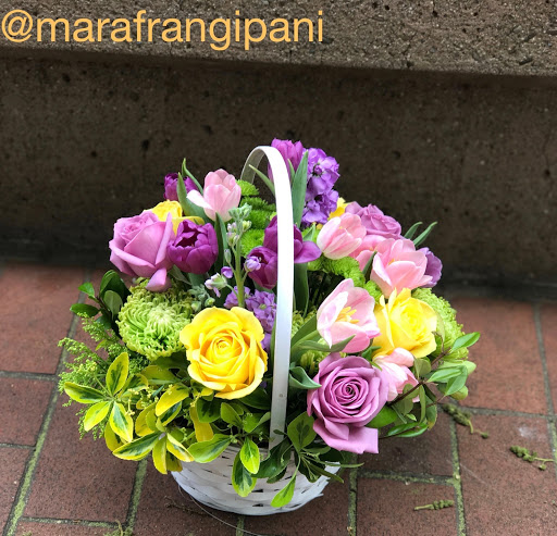 Florist «Frangipani Flowers & Gifts», reviews and photos, 1203 4th St, San Rafael, CA 94901, USA