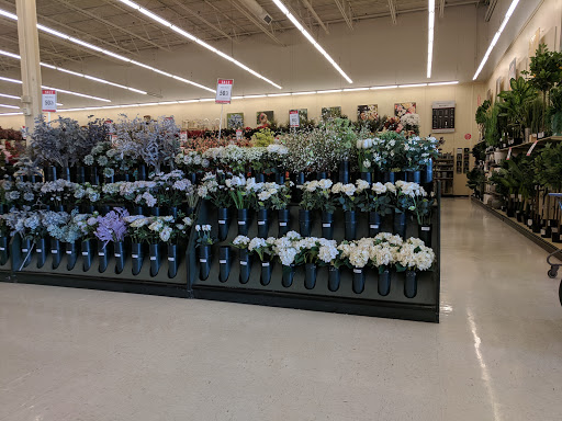 Craft Store «Hobby Lobby», reviews and photos, 6797 E Genesee St, Fayetteville, NY 13066, USA