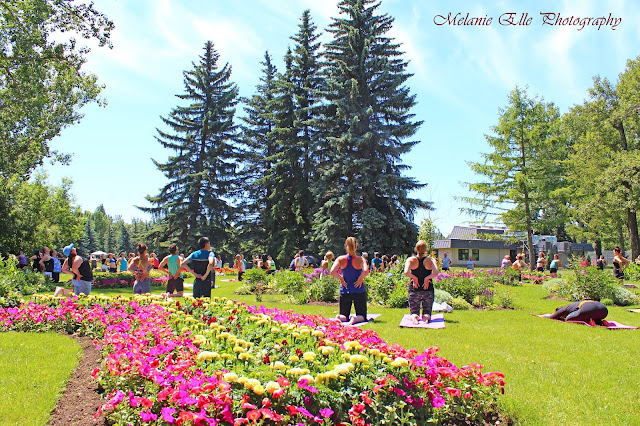 Outdoor Yoga Calgary