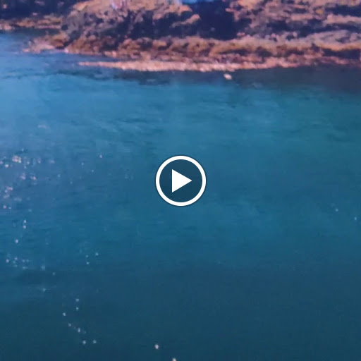 Park «Waterfront Park», reviews and photos, 1401 Alaskan Way, Seattle, WA 98101, USA