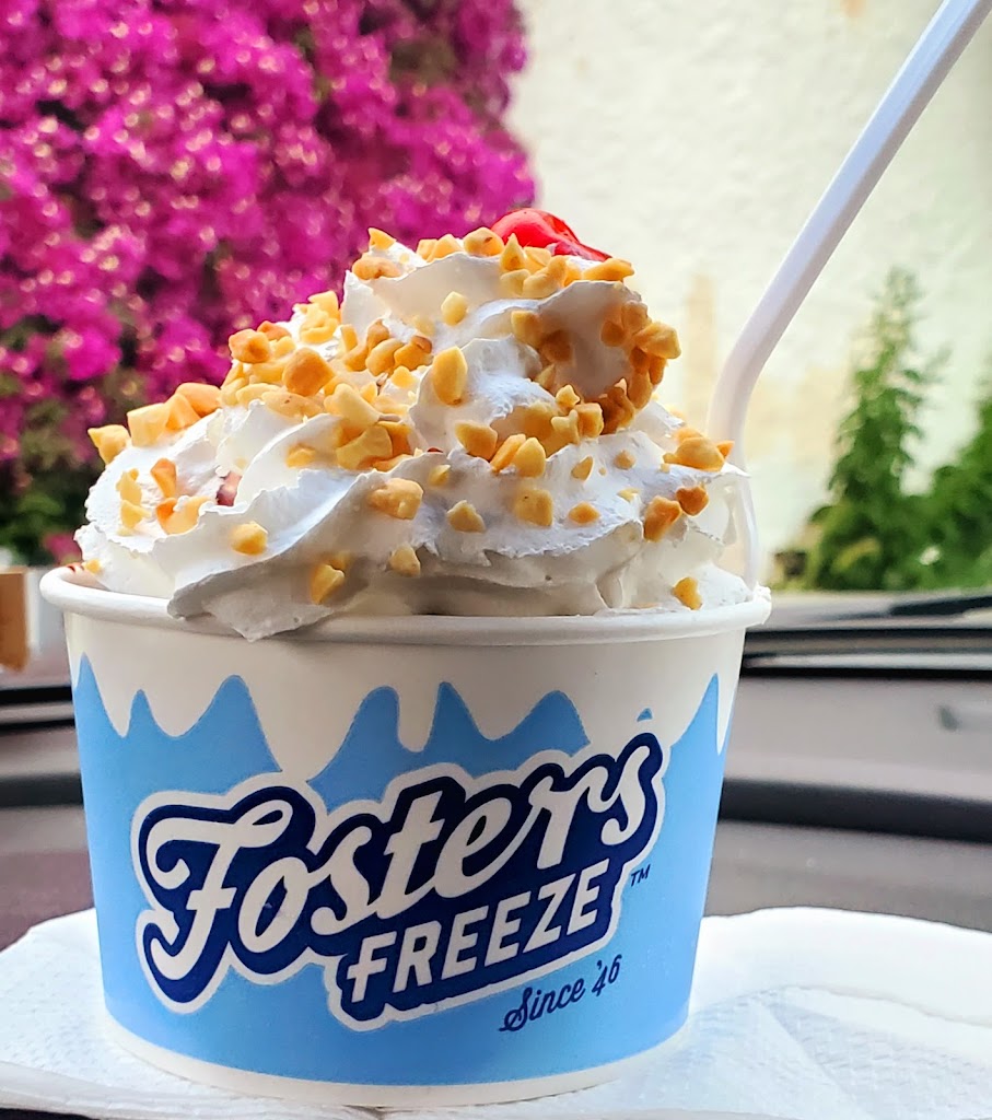Fosters Freeze 91340