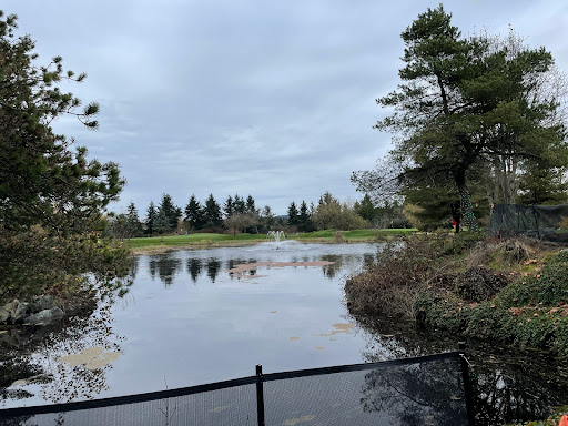 Golf Course «Willows Run Golf Complex», reviews and photos, 10402 Willows Rd, Redmond, WA 98052, USA