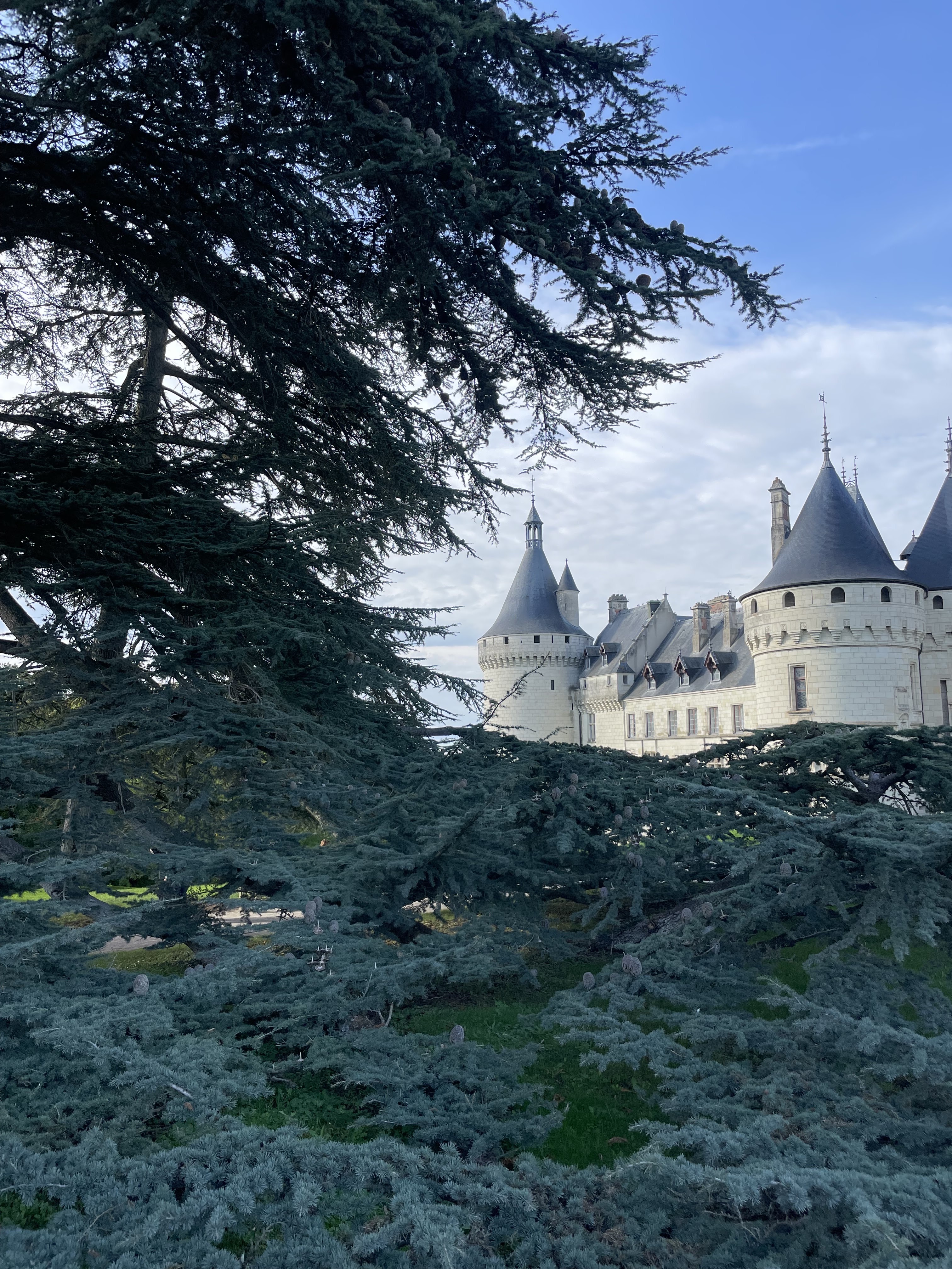 Photo n° 8 de l'avis de Ben. fait le 31/10/2022 à 00:08