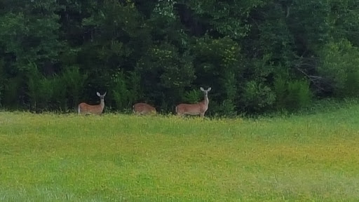 Golf Club «St. Johns Golf Club», reviews and photos, 4900 Cypress Links Blvd, Elkton, FL 32033, USA