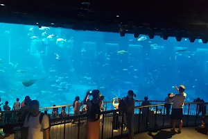 Marine Life Park image