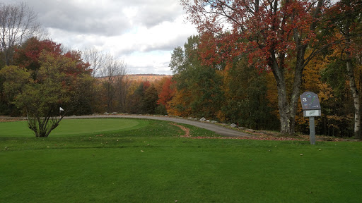 Golf Club «Blueberry Hill Golf Club», reviews and photos, 6528 Cable Hollow Rd, Russell, PA 16345, USA