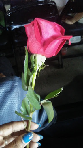 Live Music Venue «Concord Pavilion», reviews and photos, 2000 Kirker Pass Rd, Concord, CA 94521, USA