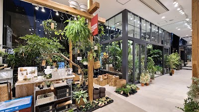 無印良品 東京有明
