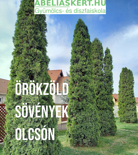 Értékelések erről a helyről: Abéliáskert gyümölcs és díszfaiskola Szeged, Szeged - Kertészkedő