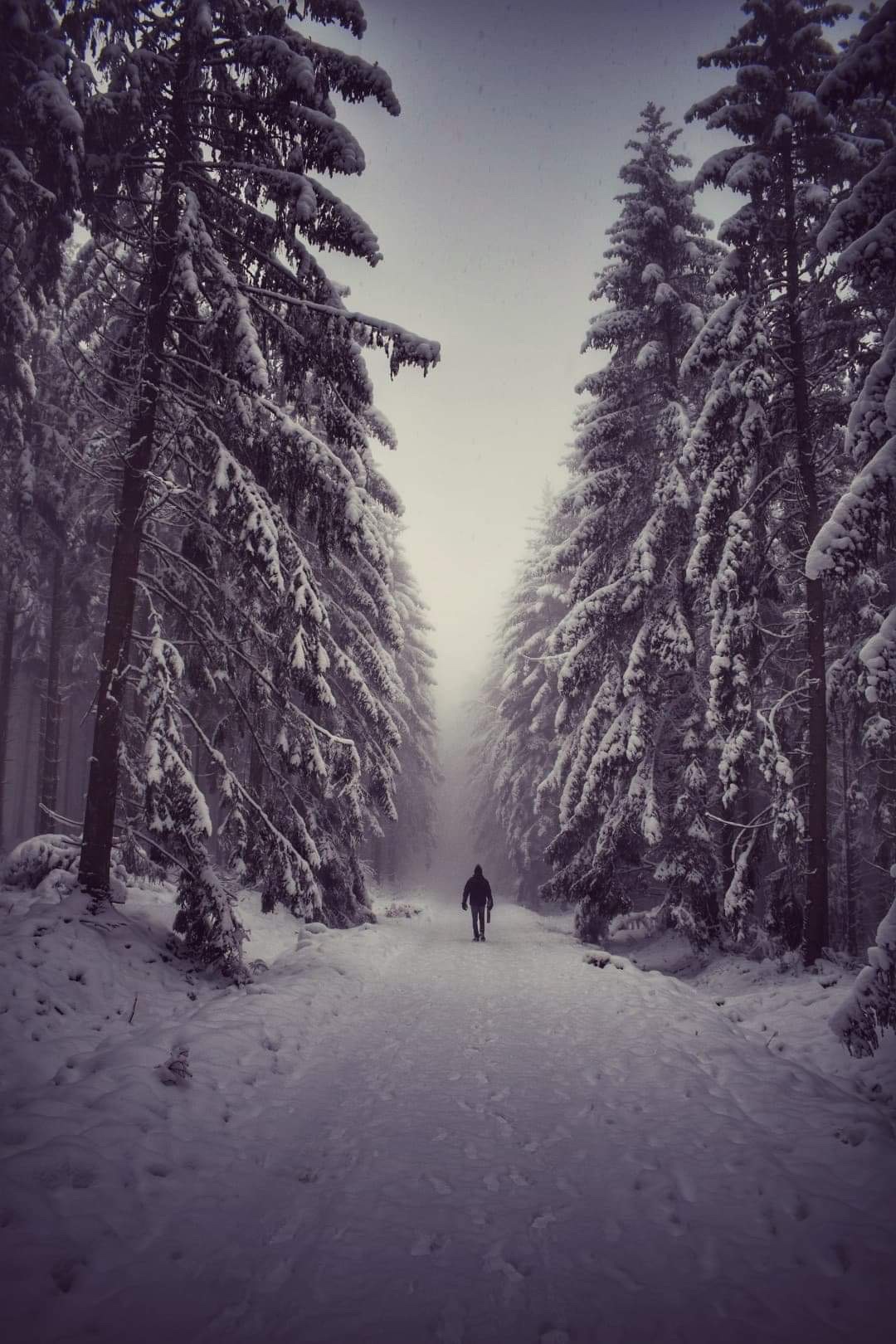Photo n° 5 de l'avis de Sébastien.u fait le 12/01/2021 à 20:34