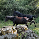 Photo n°4 de l'avis de Happy.o fait le 16/05/2024 à 08:53 sur le  Cruccuris Resort - Adults Only à Villasimius