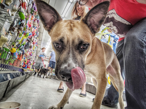 Pet Supply Store «J-B Pet Supplies - Hawthorne», reviews and photos, 289 Wagaraw Rd, Hawthorne, NJ 07506, USA