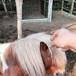 Photo n°17 de l'avis de Giusy.e fait le 05/05/2023 à 05:40 sur le  Pietra Cavalla à Castelletto