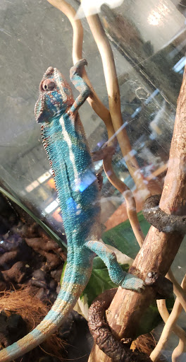 Pet Store «Off The Hook Exotics Pet Shop», reviews and photos, 926 5th Ave, Coraopolis, PA 15108, USA
