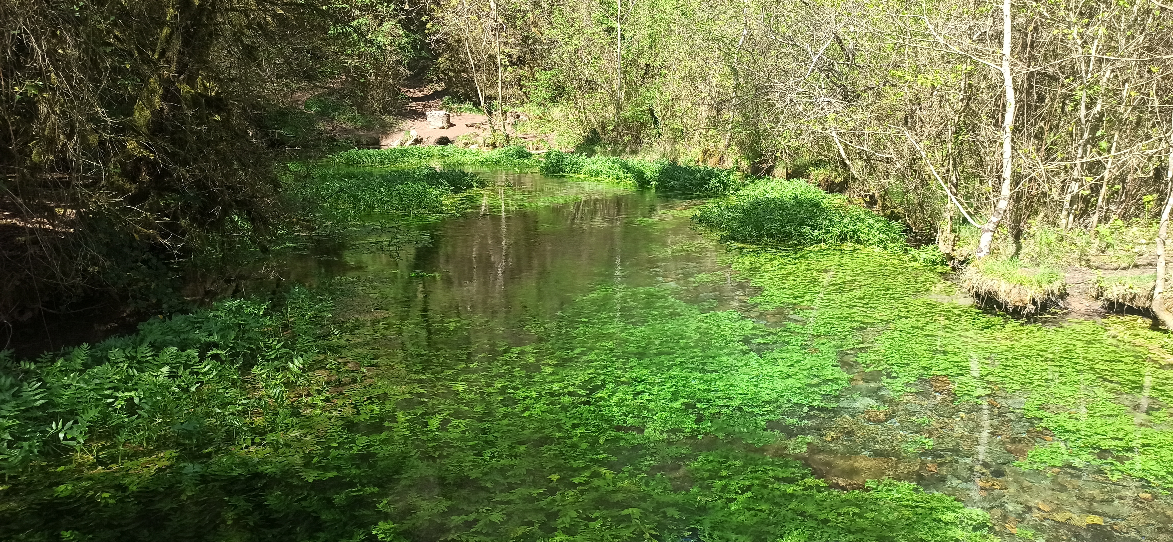 Photo n° 13 de l'avis de Frédéric.a fait le 02/05/2023 à 17:33