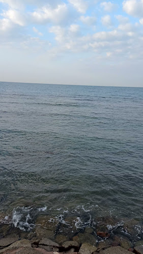 شاطئ الليث