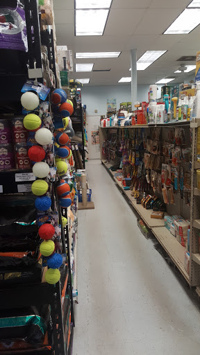 Pet Store «Animal Ark», reviews and photos, 2730 Brookdale Dr, Kingwood, TX 77339, USA