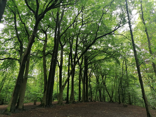 Parc de Roodebeek