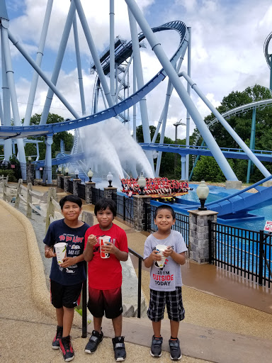 Roller Coaster «Griffon», reviews and photos, 1 Busch Gardens Blvd, Williamsburg, VA 23185, USA