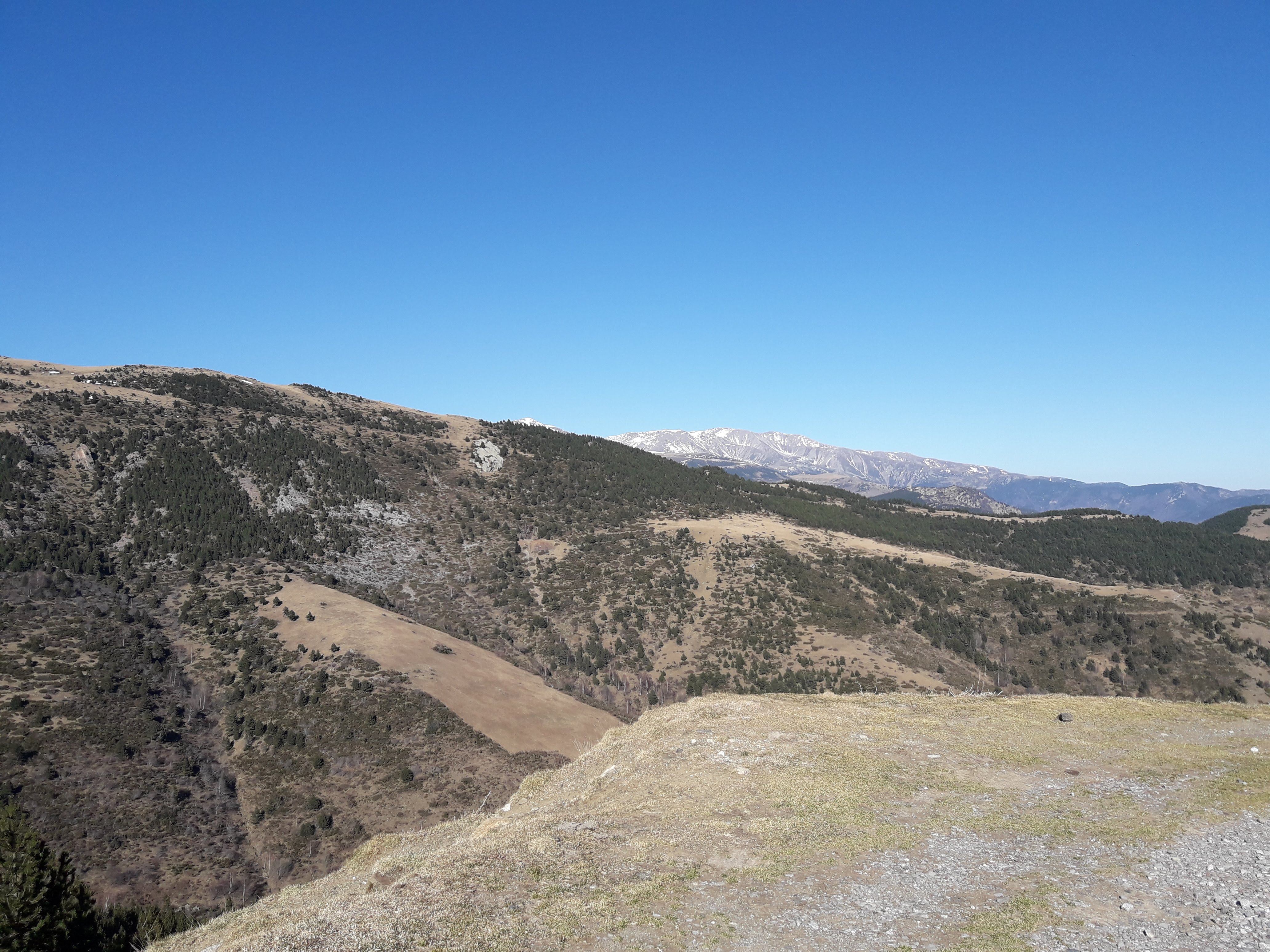 Photo n° 11 de l'avis de Victor.a fait le 11/03/2019 à 12:06
