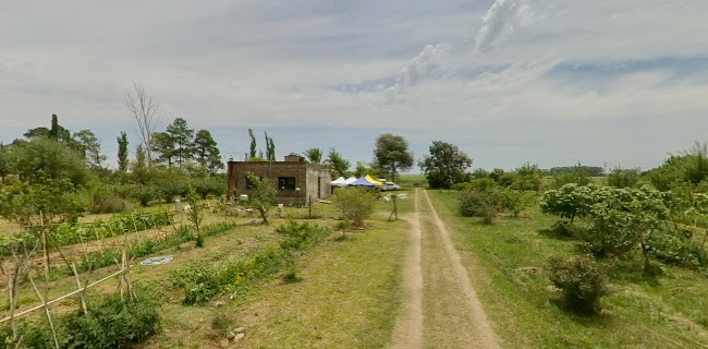 Opiniones de Dulces del Jardin en Río Branco - Centro naturista