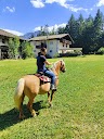 Passeggiate a cavallo- Isolotto-RANCH