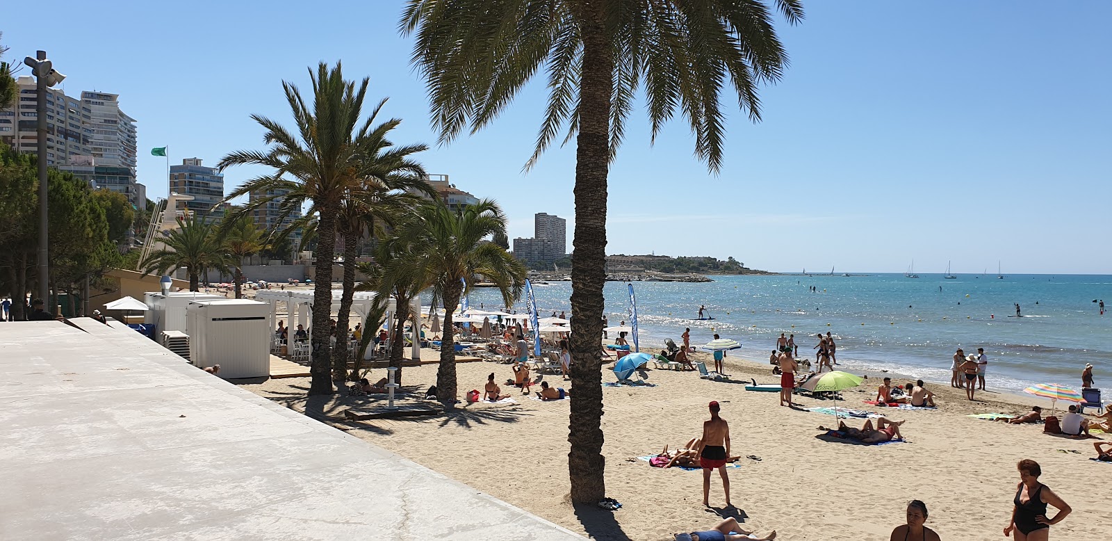 Foto di Spiaggia di Albufereta - luogo popolare tra gli intenditori del relax