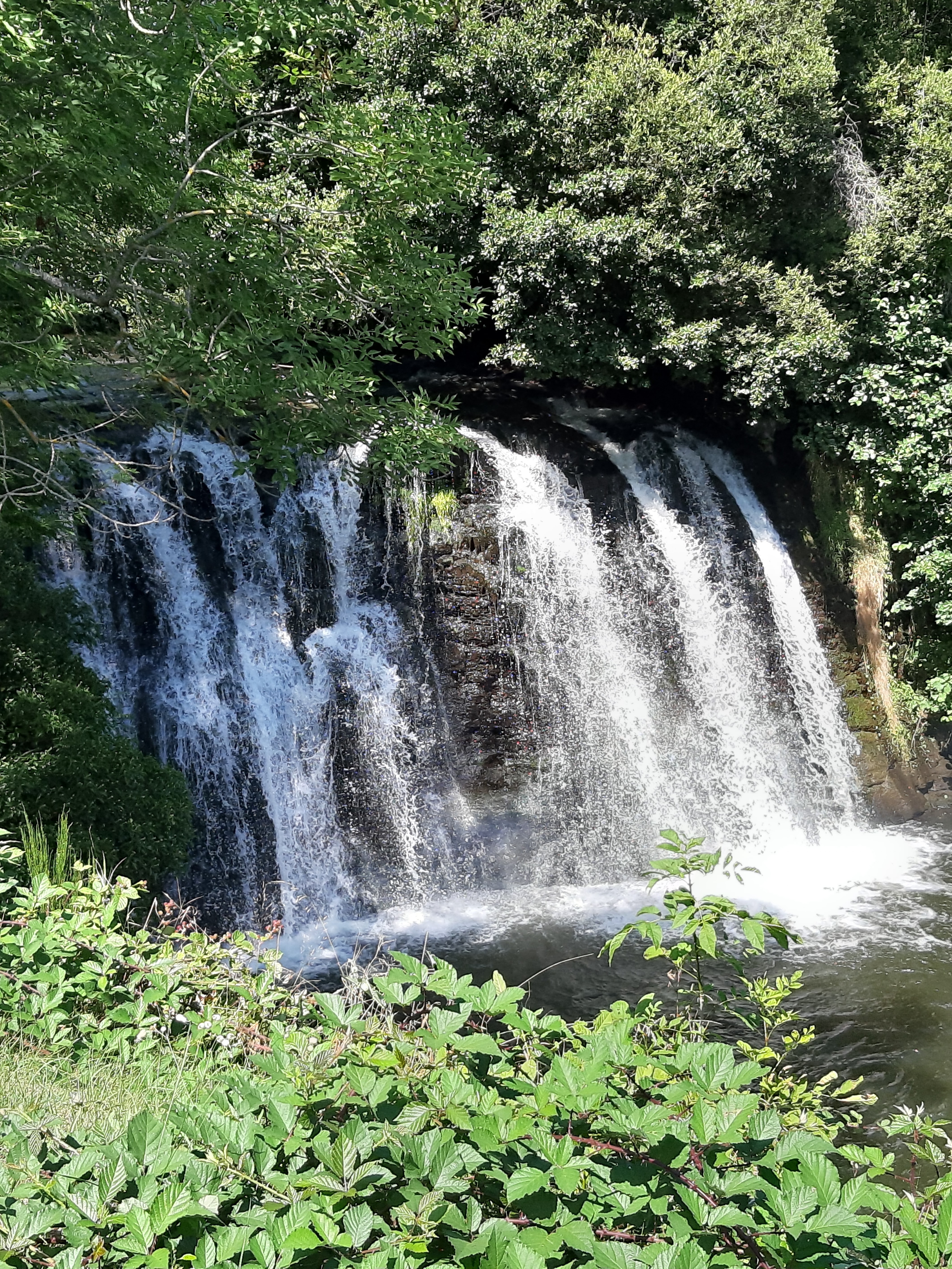Photo n° 5 de l'avis de Nathalie.o fait le 18/08/2019 à 16:02