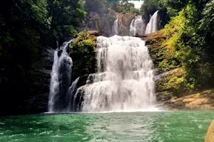 Nauyaca Waterfalls image