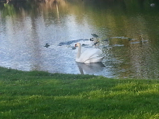 Vineyard «Gervasi Vineyard», reviews and photos, 1700 55th St NE, Canton, OH 44721, USA