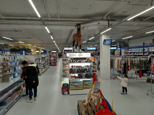 ToyChamp Antwerpen (Kiel)