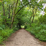 Photo n°8 de l'avis de der.i fait le 07/08/2021 à 07:56 sur le  Strandhaus am Inselsee à Güstrow