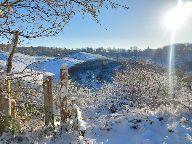 Telefonnummer for Faaborg Turistbureau